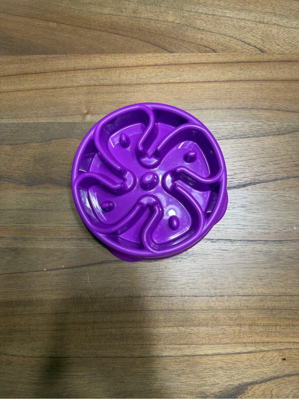 Outward Hound Slow Feeder Dog Bowl Top 2 Cups